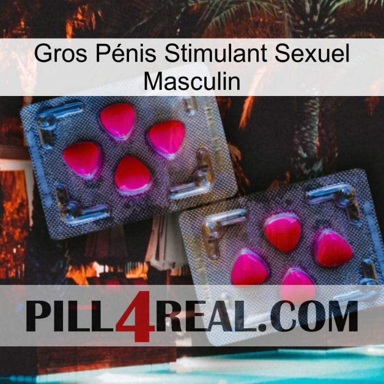 Gros Pénis Stimulant Sexuel Masculin 15